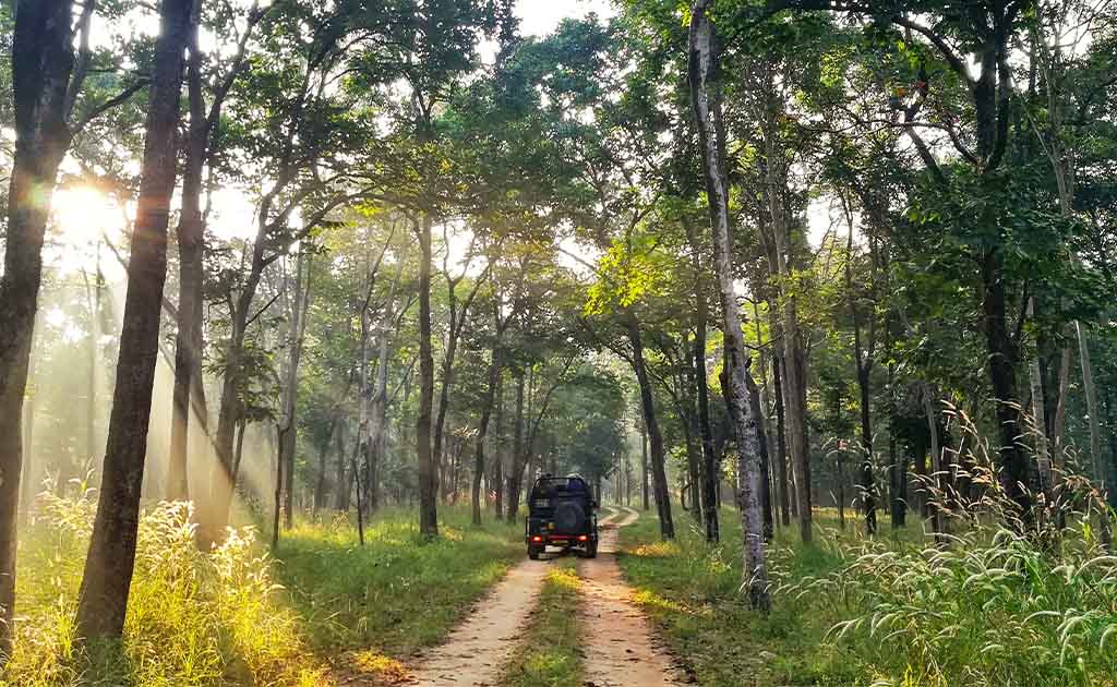 kanha-national-park